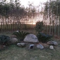 江西省南昌市室外圍欄花園柵攔菜園爬藤架竹子竹籬笆哪里有賣便宜