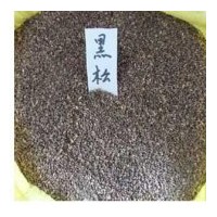 供應(yīng)黑松種子