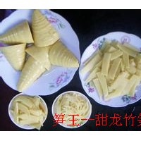 臺灣麻竹苗 龍竹苗 吊絲竹苗 甜竹苗