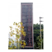 供應綠化苗 果樹苗 造林苗 藥材苗