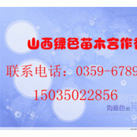 品種核桃苗《山西綠色苗木合作社》