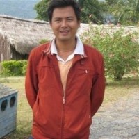 海南黃花梨苗投資潛力