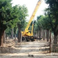 8公分木瓜280，,10公分木瓜400,12公分900