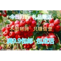 山楂苗.山楂樹.