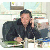 桃樹毛苗，嫁接苗