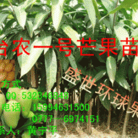 果苗 樹(shù)苗 占地苗 盆栽苗 庭院苗