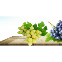 陽光玫瑰葡萄，黑巴拉多葡萄苗，夏黑葡萄