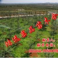 棲霞蘋果樹拆遷處理