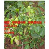 要想種的好，就選四川久億，四川久億有保障