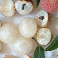 低價(jià)批發(fā)荔枝苗 桂味荔枝 糯米糍 桂味荔枝苗 是全國(guó)荔枝王首一