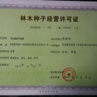 出售陜西省大櫻桃果樹苗