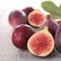 波姬紅無花果，無花果苗，無花果樹苗