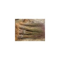 桃樹苗 柿子苗 櫻桃苗 葡萄苗