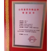 新平苗圃蘋果苗木,綠化苗木北美海堂紫葉李