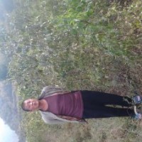 山西棗樹苗供應