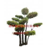 造型金葉榆金黃色的世界