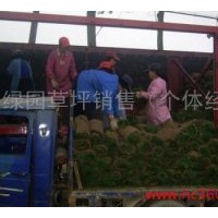 成型草坪銷售 成型草坪供應(yīng)