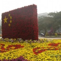 五一草花價(jià)格|國慶草花價(jià)格|山東綠化草花基地