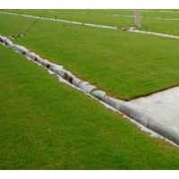 供應無土草坪卷、沙坪果嶺草、高檔草坪