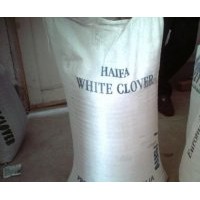 湖北白三葉草種供應(yīng)