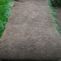 行唐草坪-靈壽草坪-贊皇草坪-元氏草坪