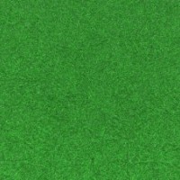 百慕大，混播黑麥草