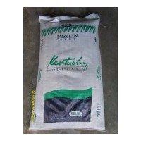 出售草籽：早熟禾、高羊茅、黑麥草、翦股穎、白三葉等