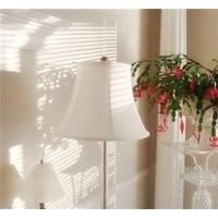 花卉園_南京花卉_卉之源花卉種植