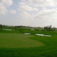 出售四季青草坪種子 四季青草坪 庭院 運(yùn)動(dòng)場(chǎng)專(zhuān)用草種 草皮