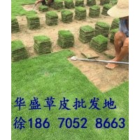 貴州銅仁馬尼拉草坪價(jià)格