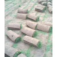 山西草坪|山西草坪供應(yīng)|山西草坪銷售