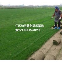 供應(yīng)百慕大草坪，馬尼拉草坪，混播草坪，果嶺草