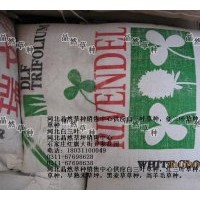 河北晶然草種銷售中心供應(yīng)白三葉草種，紅三葉草種，雜三葉草種