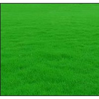 郴州馬尼拉銷售基地物優(yōu)價(jià)廉量大從優(yōu)