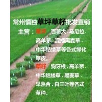 供應(yīng)各式綠化草皮、草種