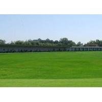 銷售百慕大草坪