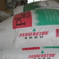 供應(yīng)一年生黑麥草種子，黑麥草種子，黑麥草，江蘇黑麥草基地