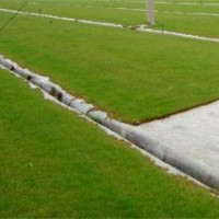 句容四季青苗木生態(tài)園藝場(chǎng)批發(fā)草坪