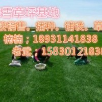 欒城縣梅雪花草苗木綠化有限公司