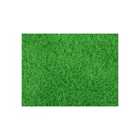 直銷草坪，黑麥草混播，百慕大，狗牙根等綠化草坪