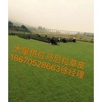 馬尼拉草坪價(jià)格是多少？