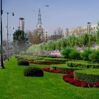 哈爾濱鼎潤(rùn)綠化園藝