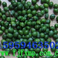 羅漢松種子 羅漢松種 羅漢松育苗技術(shù) 羅漢松種子批發(fā)