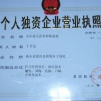 建民苗木供應(yīng) 國(guó)槐 優(yōu)質(zhì)量國(guó)槐