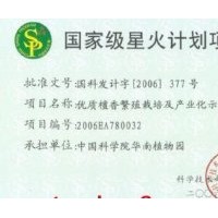 華南植物園檀香苗