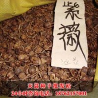 沭陽(yáng)天晨紫薇種子基地