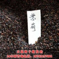 沭陽(yáng)天晨紫荊種子價(jià)格