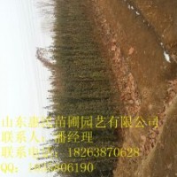 供應(yīng)山東0.6-3米北海道