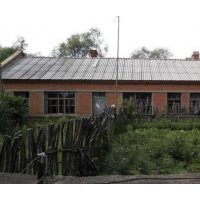 營(yíng)養(yǎng)缽 樟子松60-80