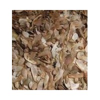 批發(fā)小苗種子、紅葉石楠、杜鵑(各種桂花)樟樹(羅漢松)松柏